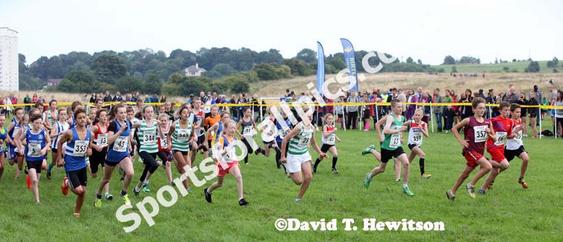 The start of the under-13s at the Sunderland Open Cross Country.